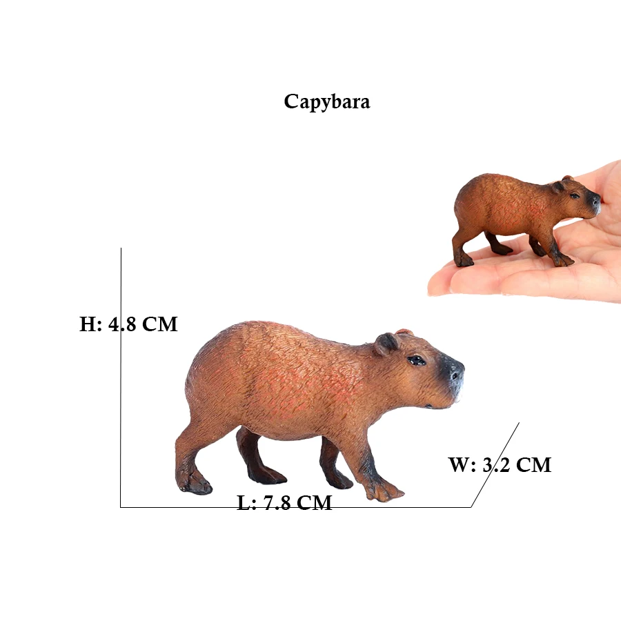 Capibara Capybaras Squirrel Ma - đánh giá và giá Kids Toys Reviews
