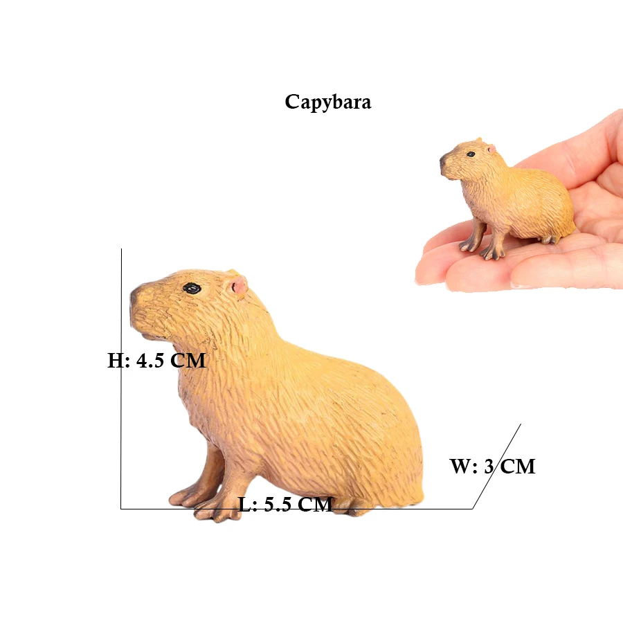 Capibara Capybaras Squirrel Ma - đánh giá và giá Kids Toys Reviews