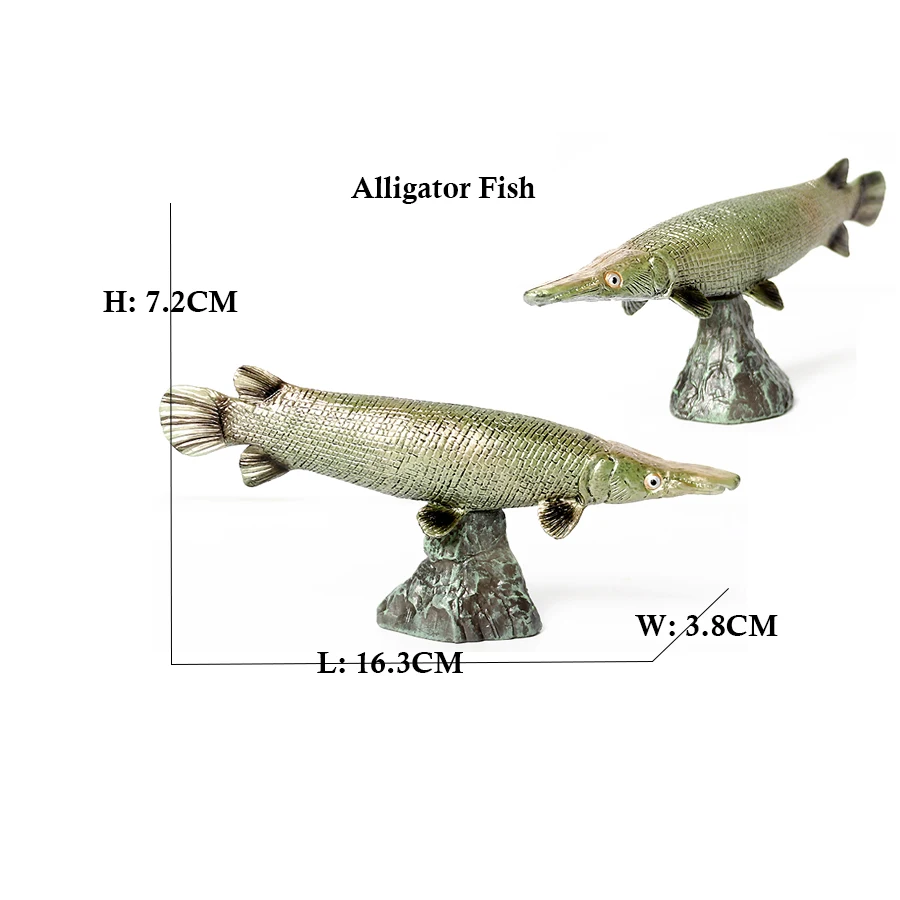 Arowana Pirarucu Coelacanth Bi - đánh giá và giá Kids Toys Reviews