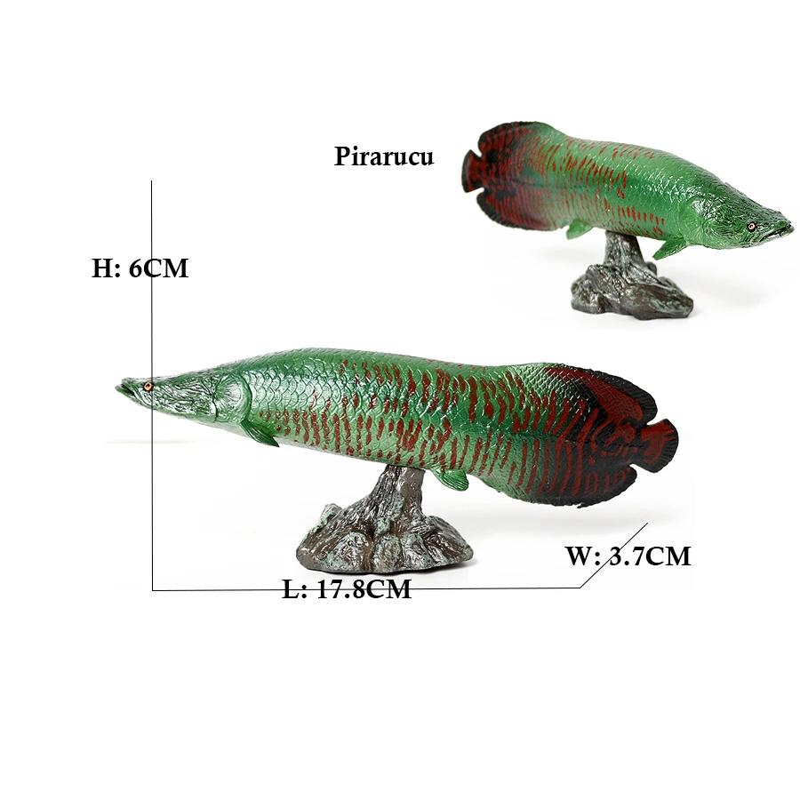 Arowana Pirarucu Coelacanth Bi - đánh giá và giá Kids Toys Reviews