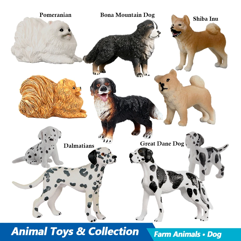 Labrador Poodle Rottweiler Bon - đánh giá và giá Kids Toys Reviews