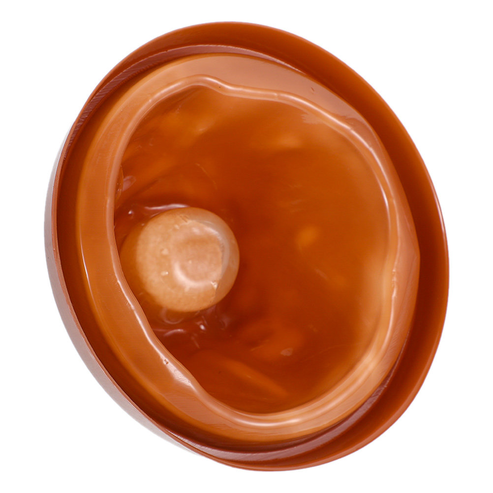 Plastic Volcano Shell and Base - đánh giá và giá Volcano Experiment Kit