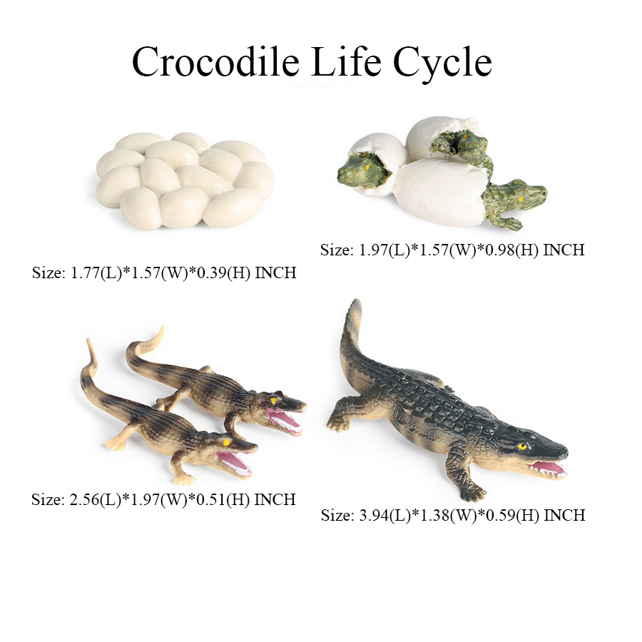 Toy of crocodile Figure Toys A - đánh giá và giá Kids Toys Reviews