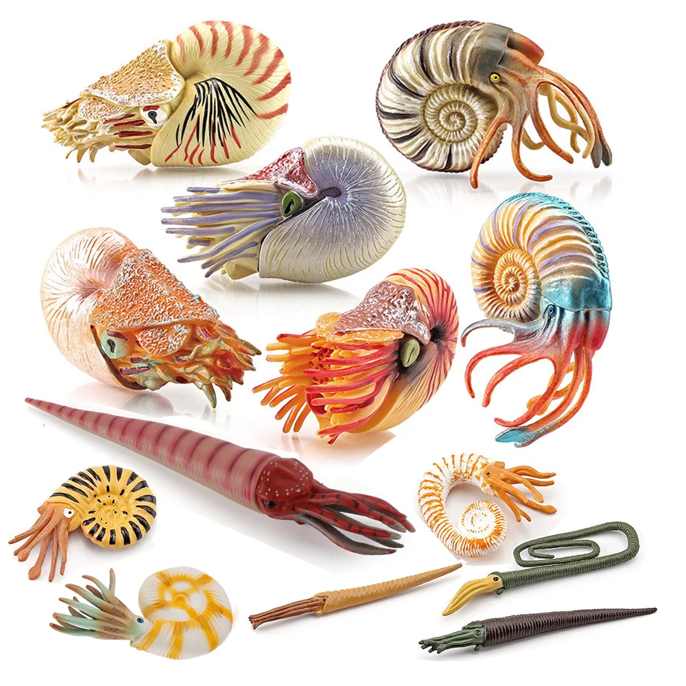 Marine Toy Animals Nautilus Fi - đánh giá và giá Kids Toys Reviews
